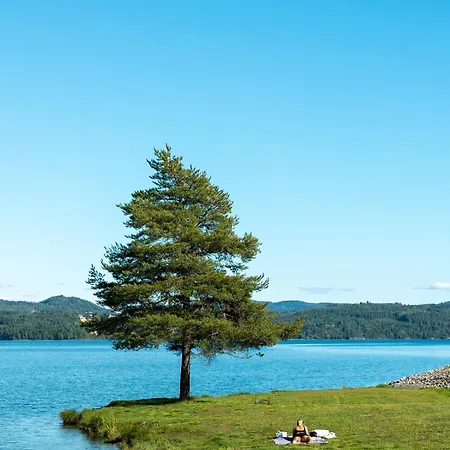 Sveastranda مكان تخييم